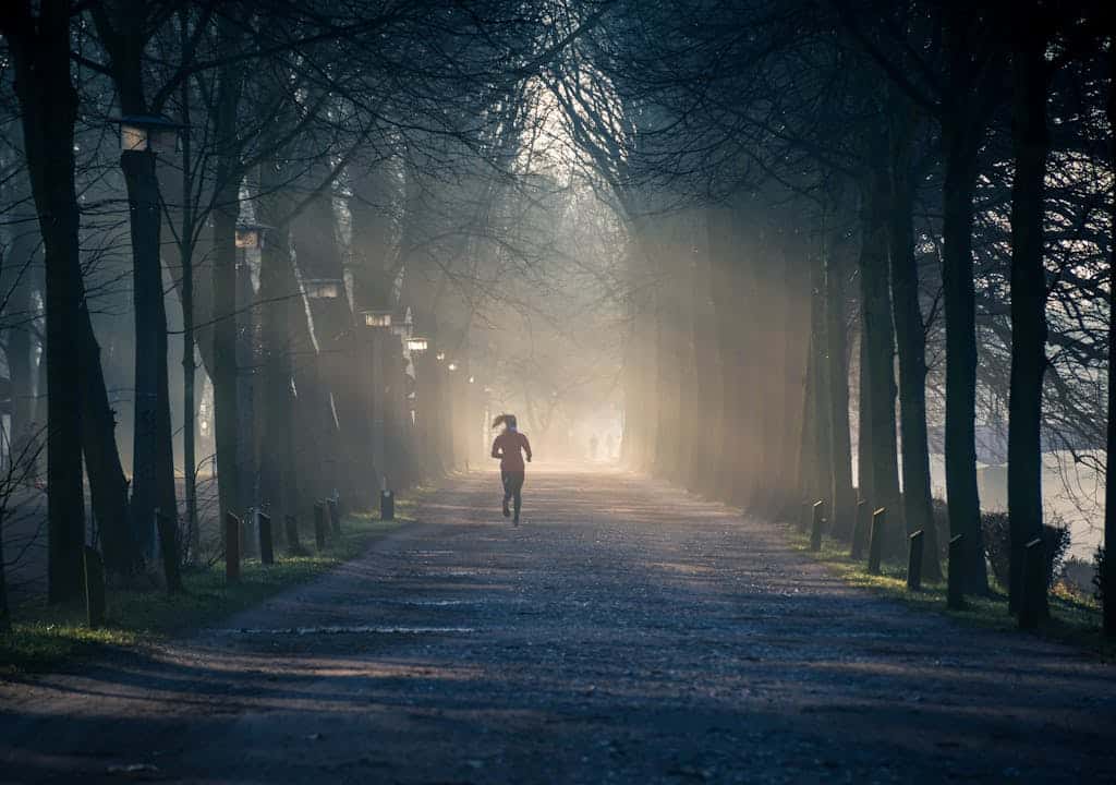 How to workout the right way: From Preparations to Recovery Person Running Near Street Between Tall Trees
