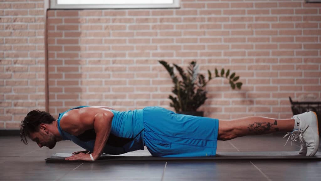 PUshup-regular