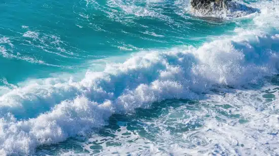 Focus, Study & Memory — Sound & Frequency